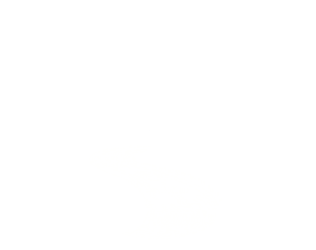 Logo Weingut Zehn Morgen