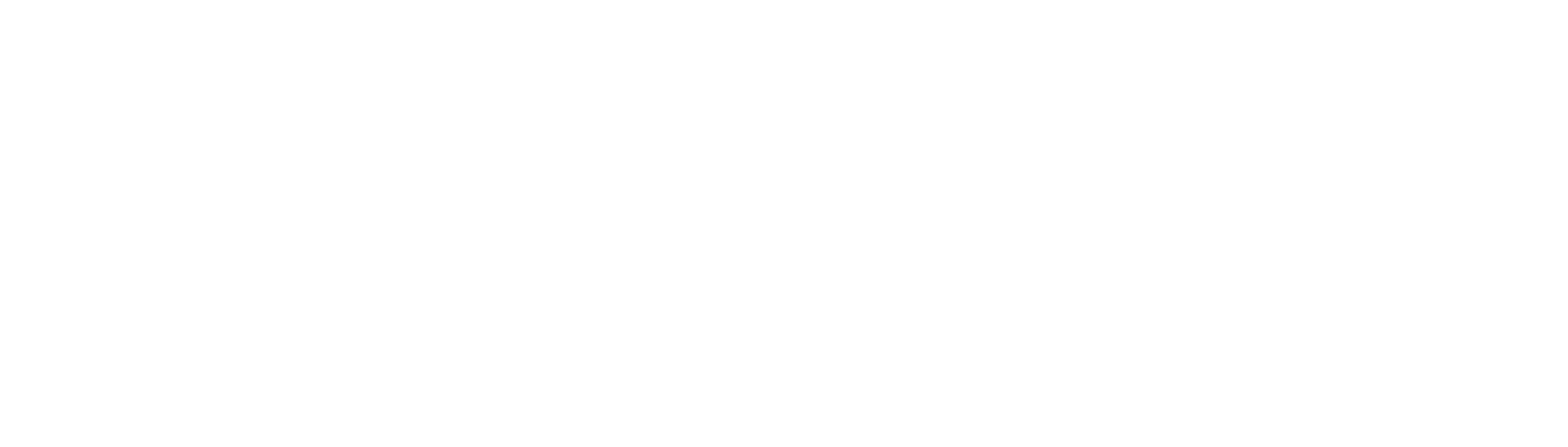 Logo victus vision