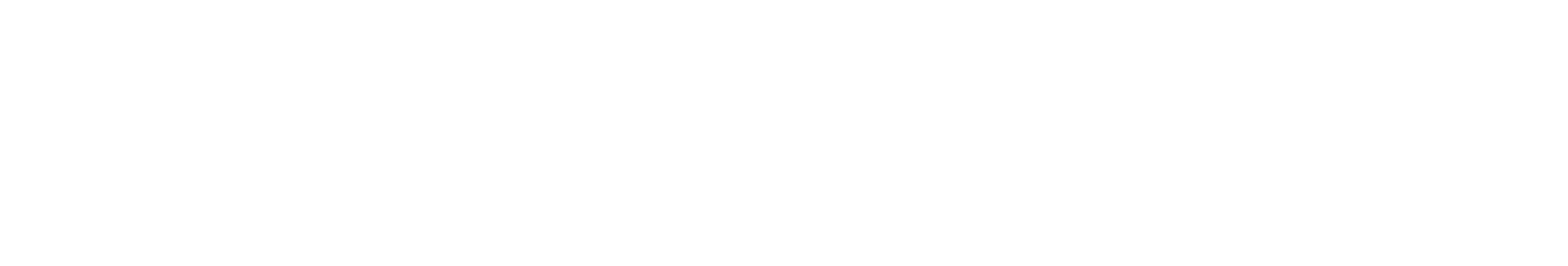 Premium Leaders Club Logo